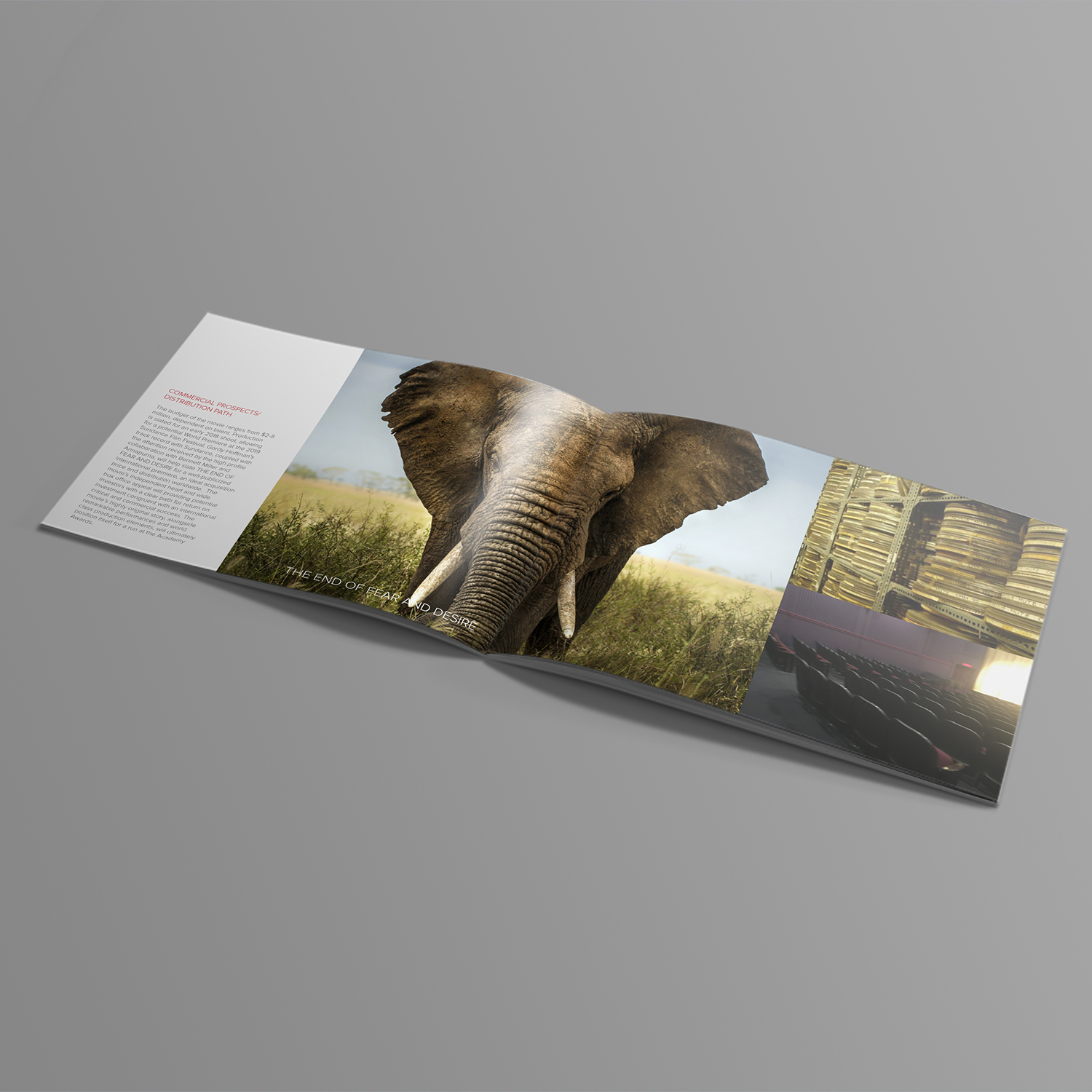 Brochure Design by banedsgn for this project | Design #13785055