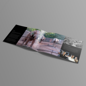 Brochure Design by banedsgn for this project | Design: #13785757
