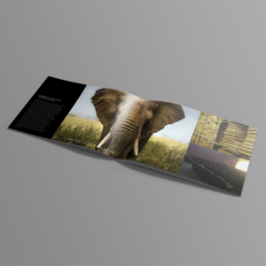 Brochure Design by banedsgn for this project | Design: #13785776