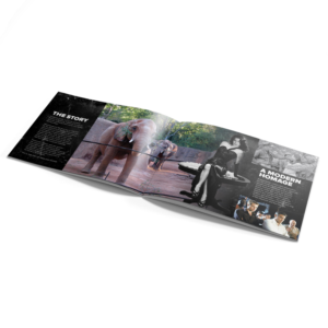 Brochure Design by banedsgn for this project | Design: #13822512