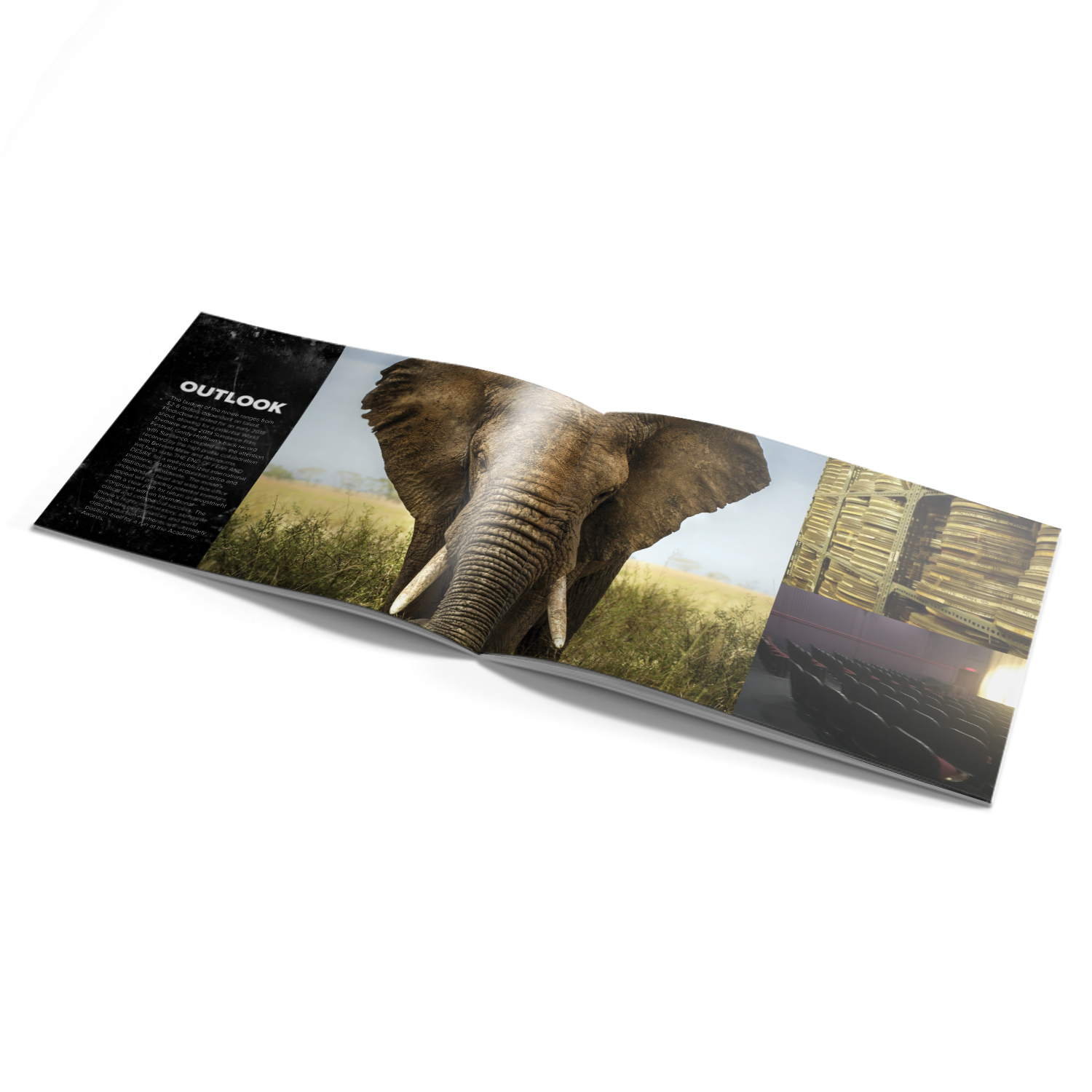 Brochure Design by banedsgn for this project | Design #13822534