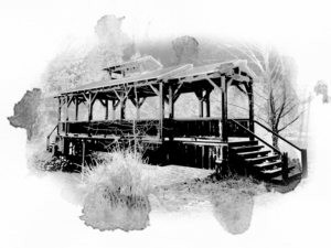 Illustration Design by reddmac