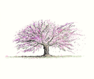 Illustration Design by paul_carpenter 2