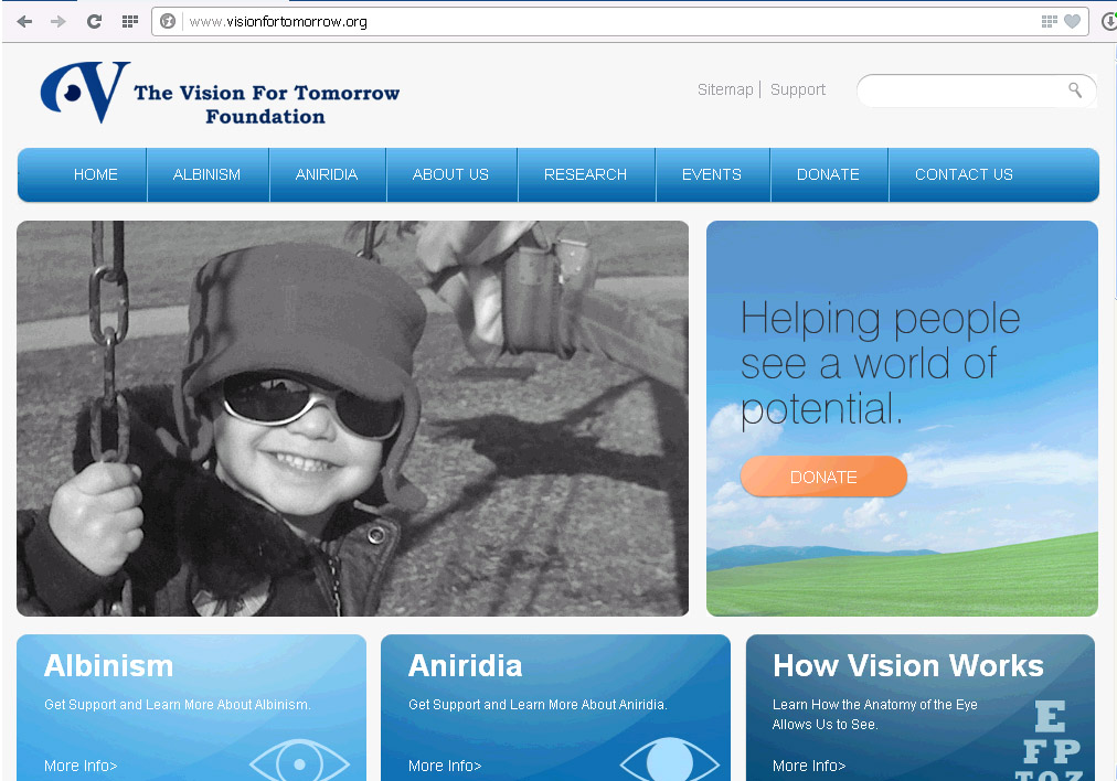 Logo Design by GeorgeLogoDesign for The Vision for Tomorrow Foundation | Design #2722968