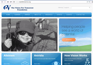Logo Design by GeorgeLogoDesign for The Vision for Tomorrow Foundation | Design: #2722968