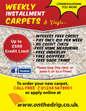 Flyer Design by Venus L. Penaflor for this project | Design #13799826