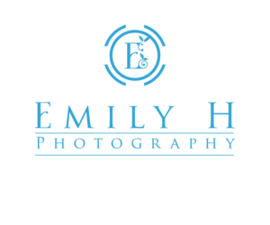 Logo Design by davidirwi