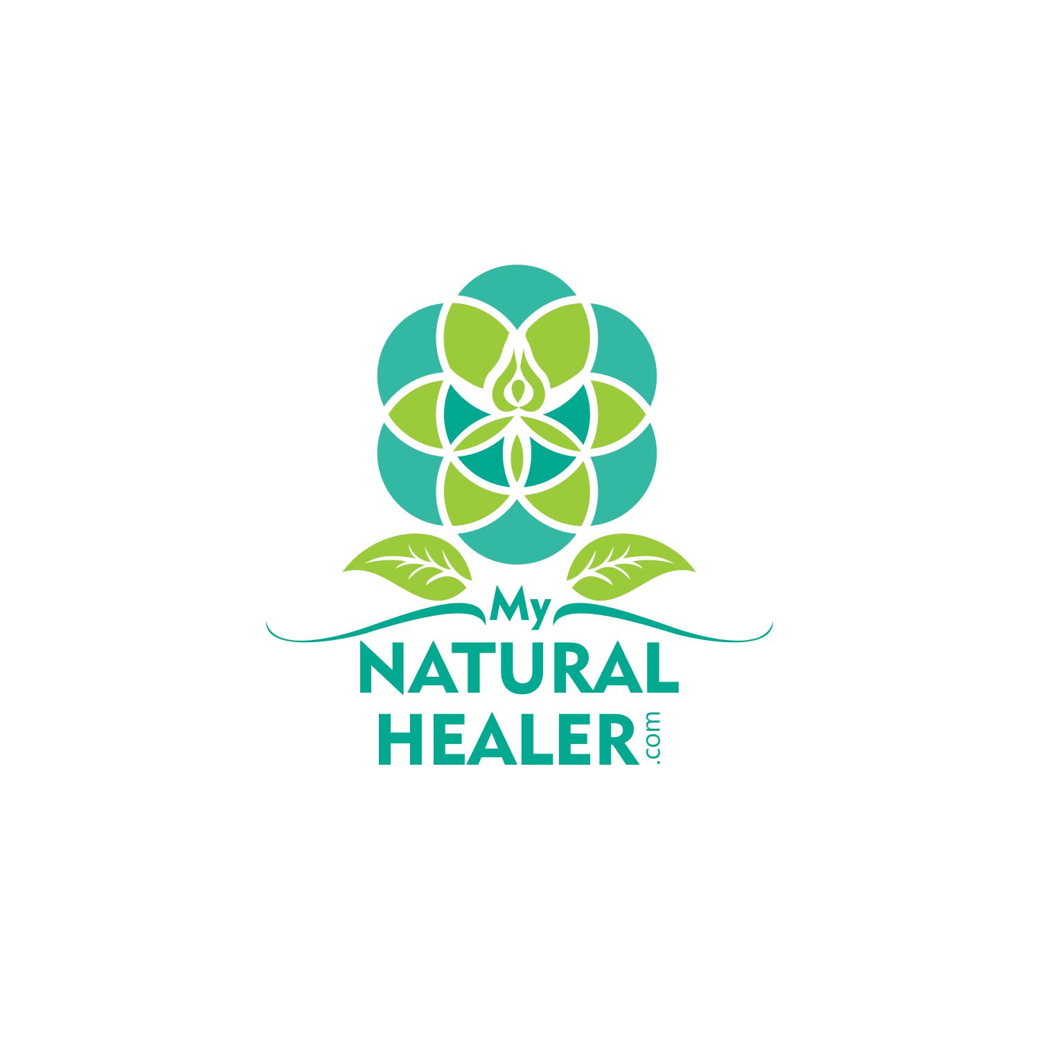 Logo-Design von Anchasto Studio für dieses Projekt | Design #14003013