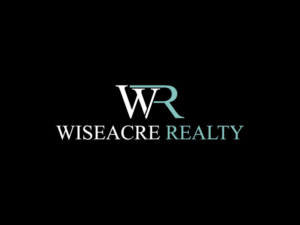 Logo Design by the majestic design