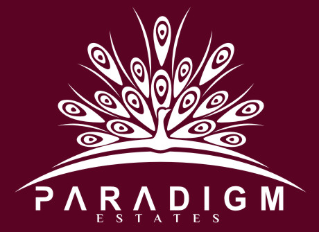Logo Design by Den Bagus for Plasso | Design #13807700