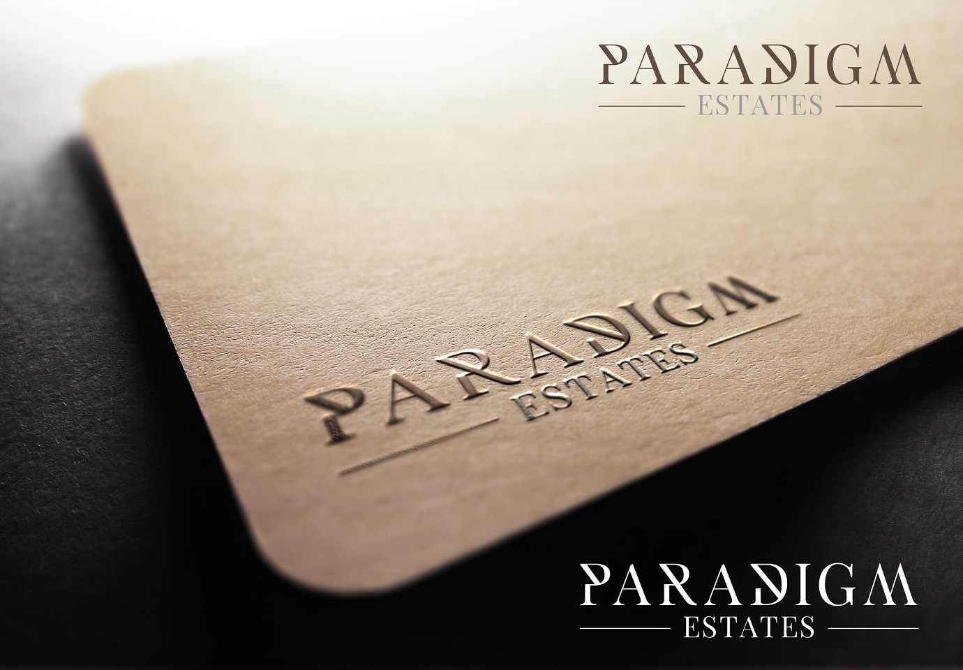 Logo Design by FerTouch Arts for Plasso | Design #13835342