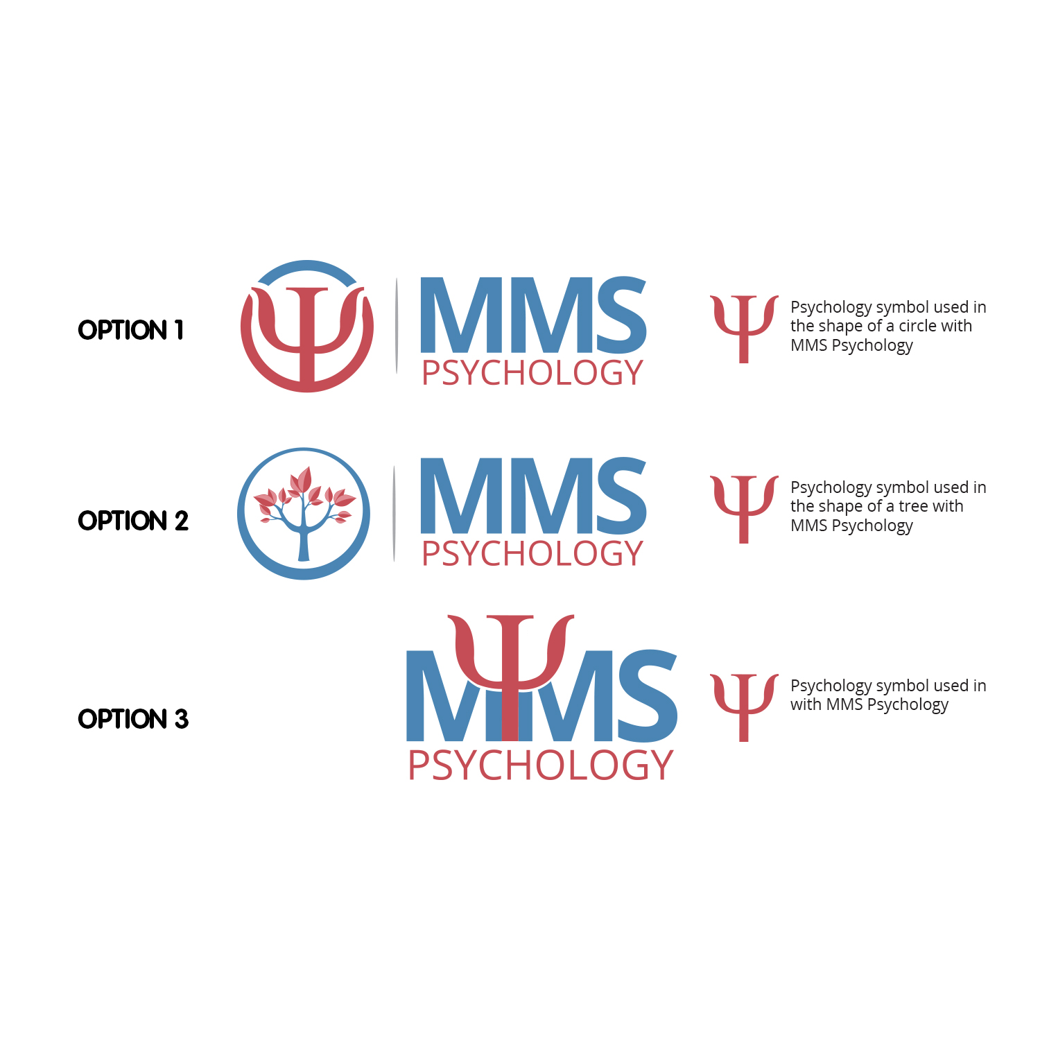 Flyer Design by Mariyam Khan for this project | Design #13803084