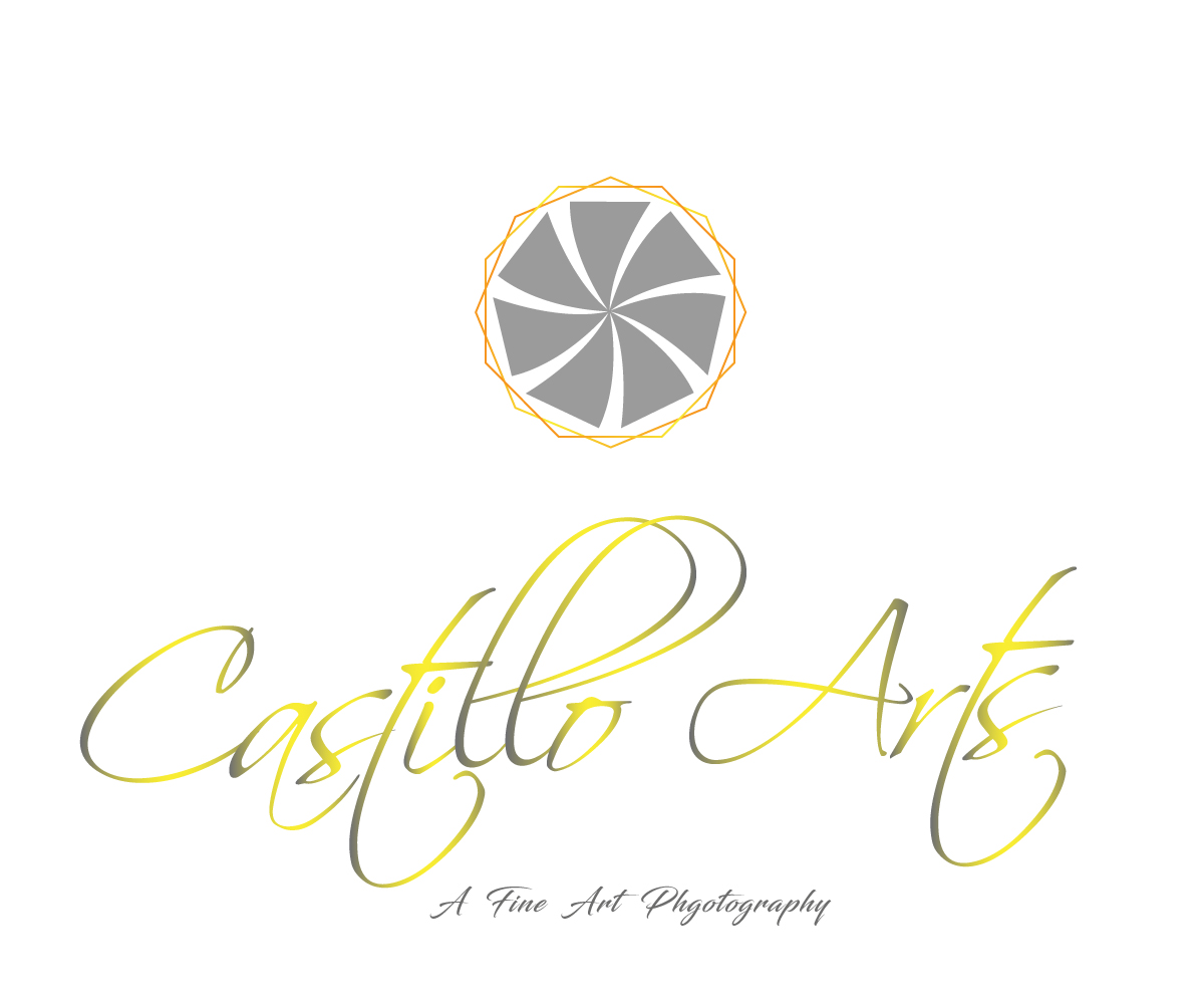 Logo Design by usrbob for Castillo Arts | Design #13888552