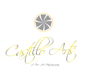 Logo-Design von usrbob für Castillo Arts | Design: #13888552