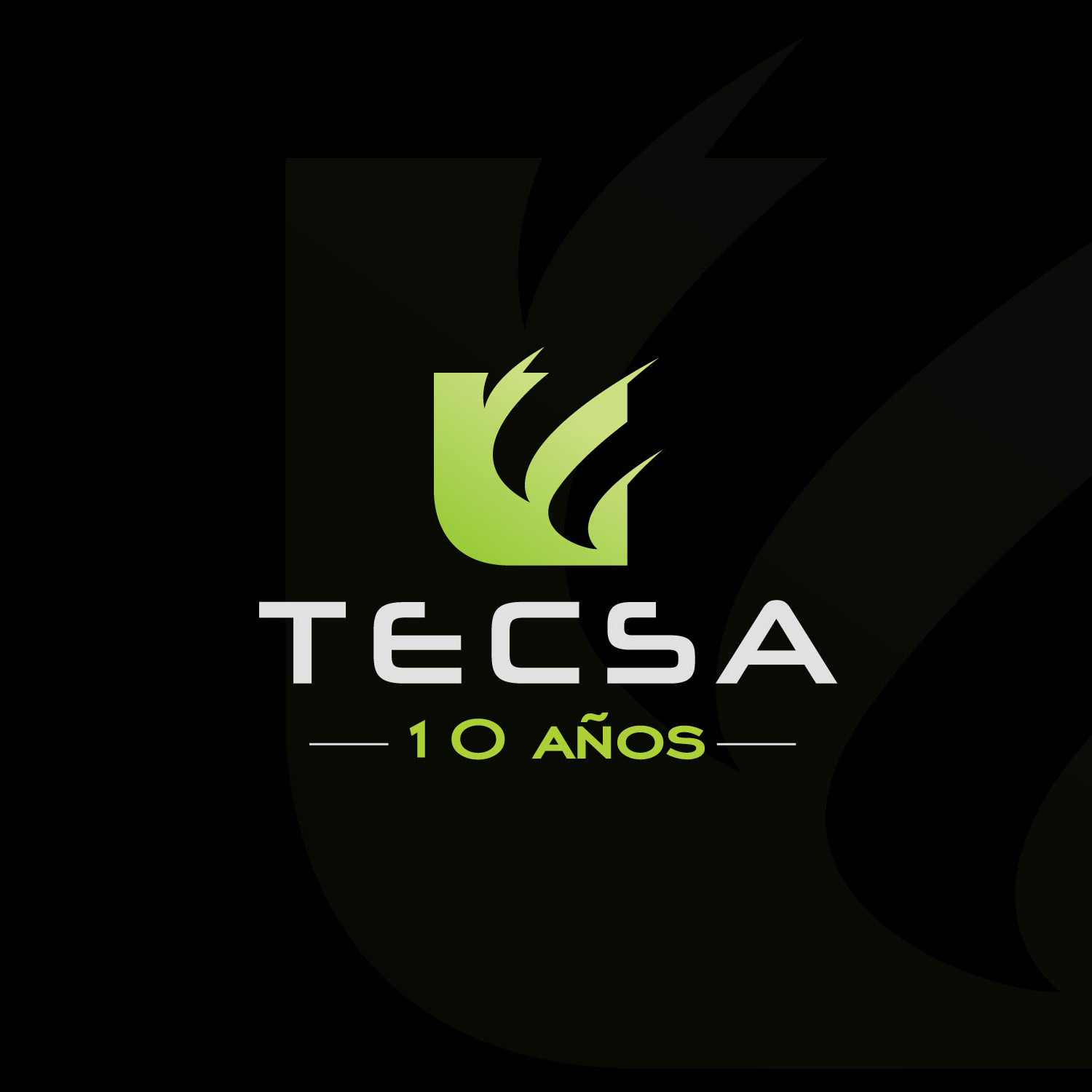 Moderno, Juguetón, Telecom Diseño de Logo for TECSA 10 años por Next Screen  Infotech | Diseño #13821166