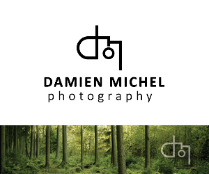 Logo Design by cmoschler for dm photography | Design: #2528948