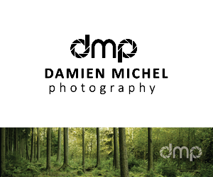 Logo Design by cmoschler for dm photography | Design: #2528952