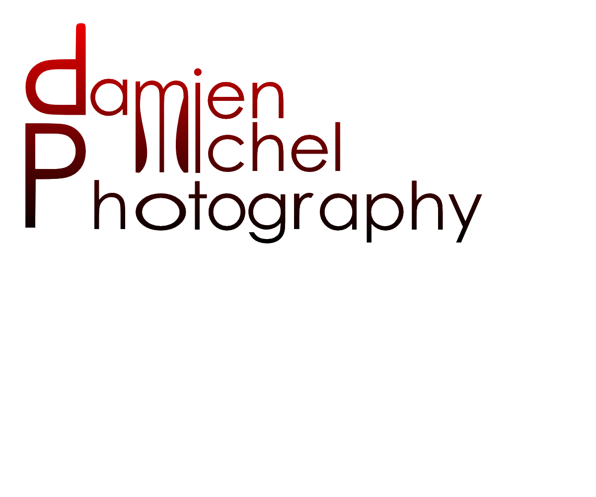 Diseño de Logo por tri.sunarso.123 para dm photography | Diseño #2514620