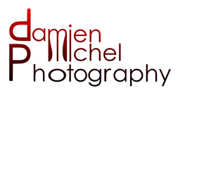 Logo Design by tri.sunarso.123 for dm photography | Design: #2514620
