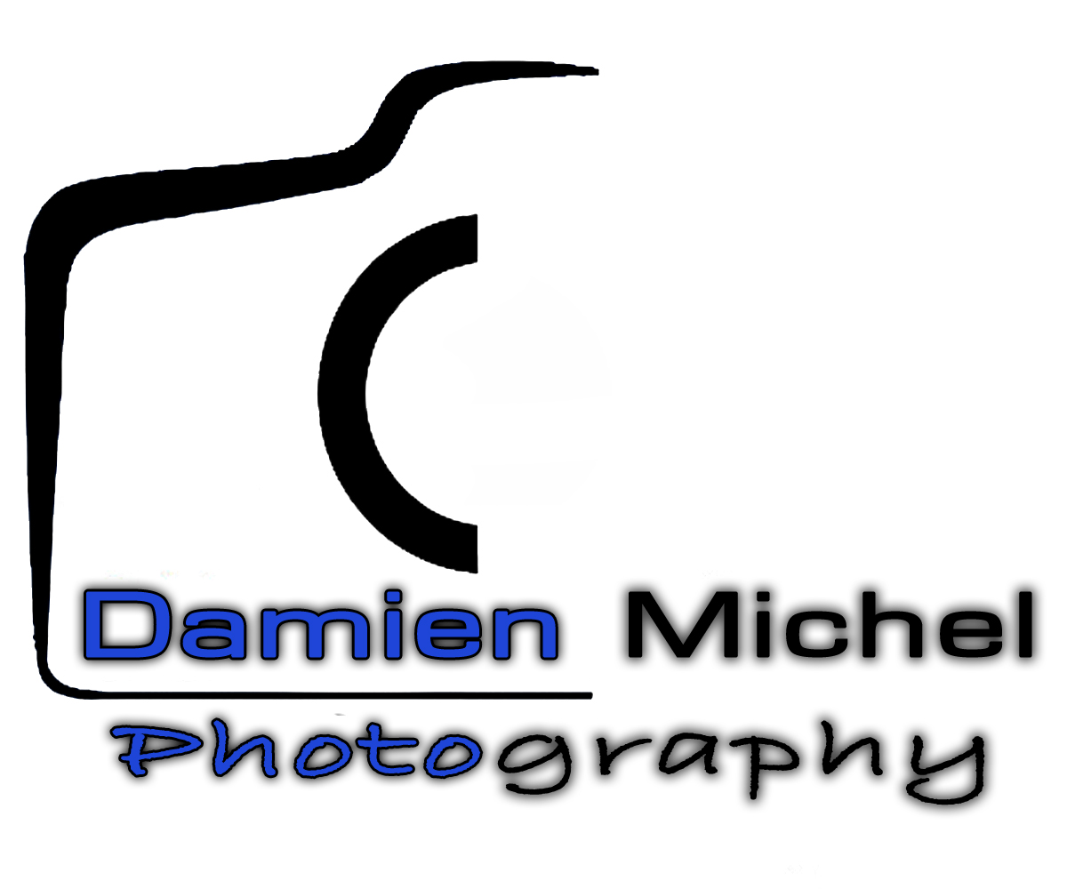 Logo Design by dilleryy for dm photography | Design #2495542