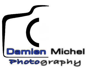 Logo Design by dilleryy for dm photography | Design: #2495542
