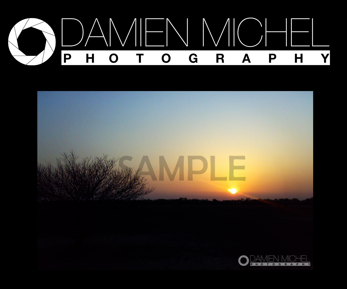 Logo Design by paulbww for dm photography | Design #2516663