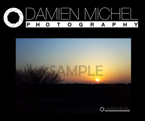 Logo Design by paulbww for dm photography | Design: #2516663