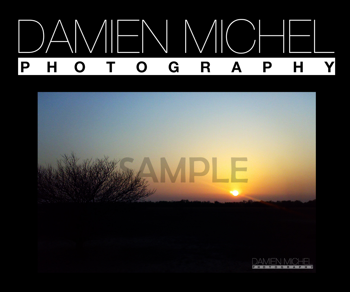 Logo Design by paulbww for dm photography | Design #2516741