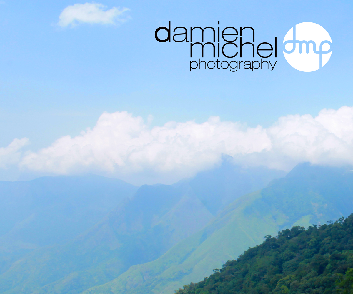 Diseño de Logo por nicholas para dm photography | Diseño #2550377