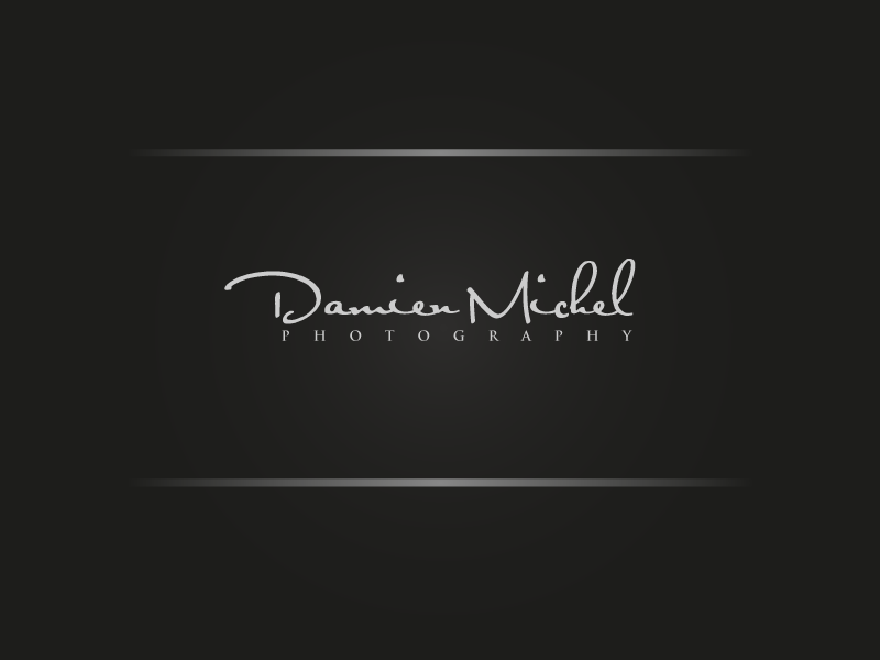 Logo Design by dan99 for dm photography | Design #2491310