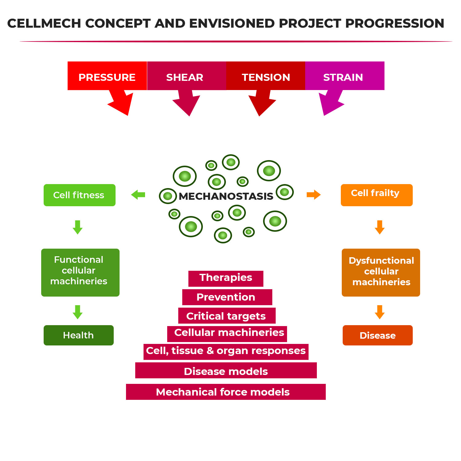 Illustration Design by King Cozy for Turku Centre for Biotechnology | Design #20166724