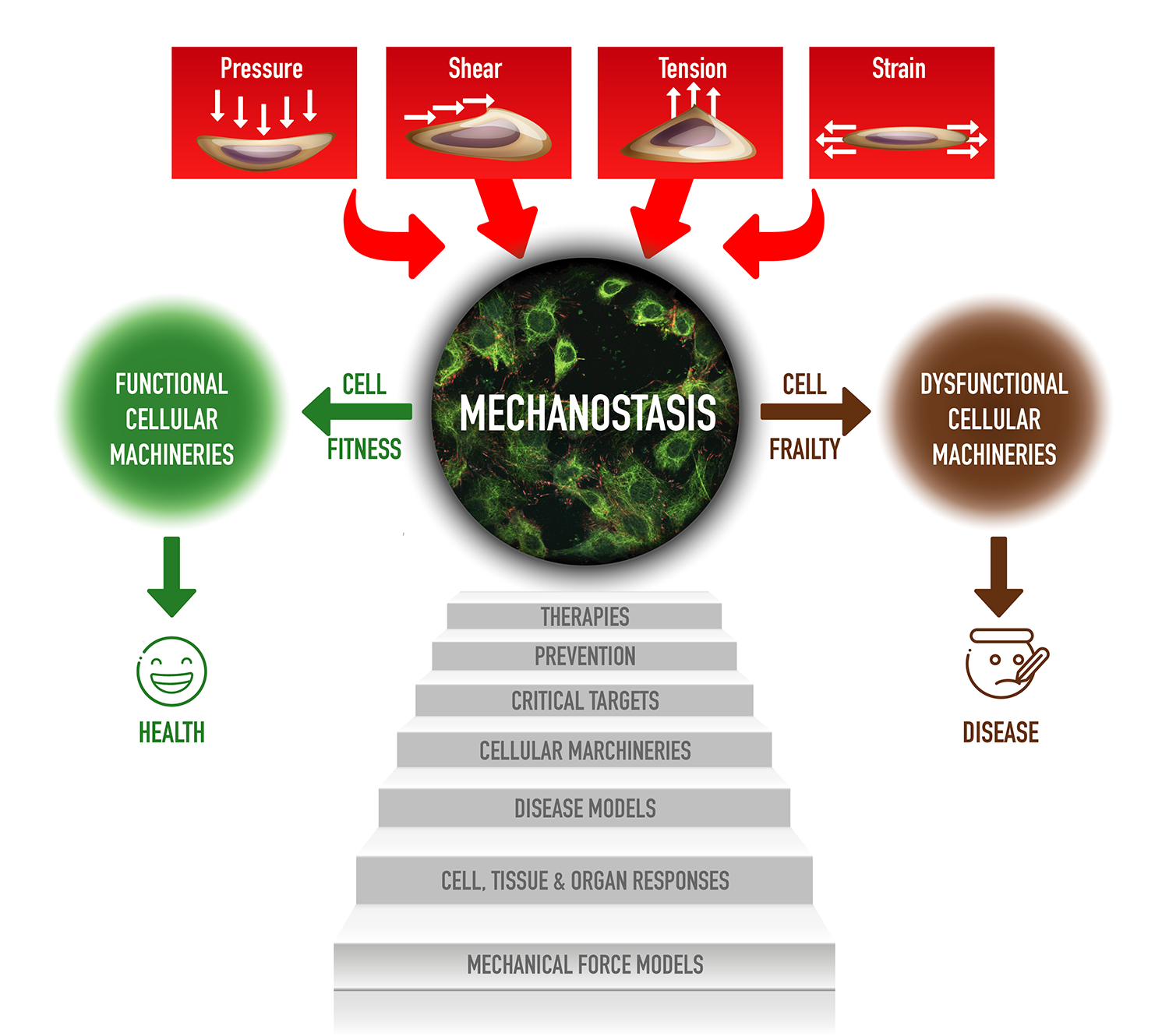 Illustration Design by Pinky  for Turku Centre for Biotechnology | Design #20097934