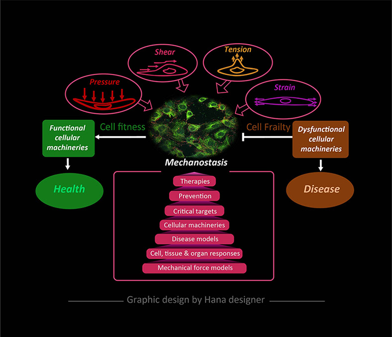 Illustration Design by Hana for Turku Centre for Biotechnology | Design #20117619