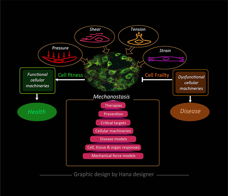 Design Illustration par Hana pour Turku Centre for Biotechnology | Design #20118496