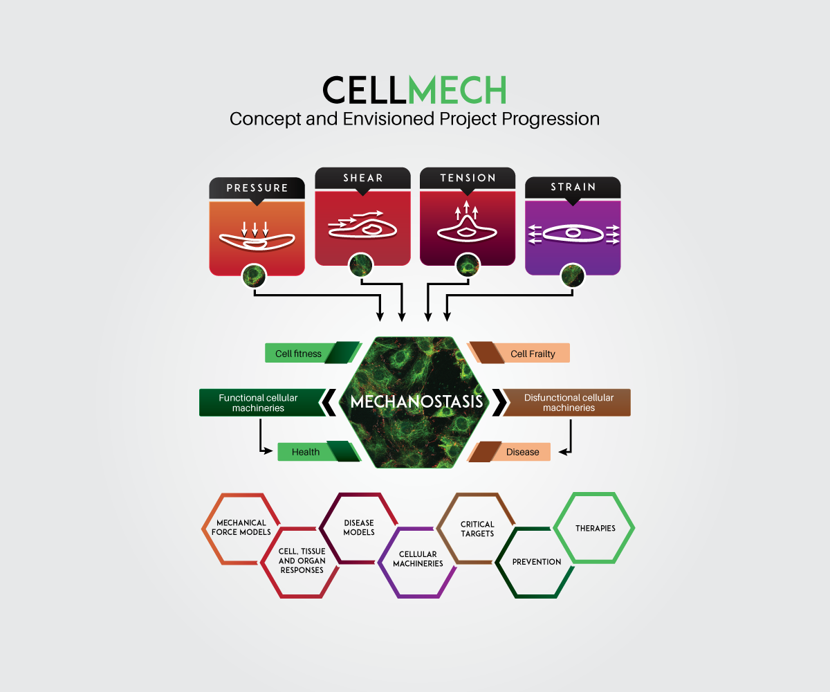 Diseño Con Ilustración por JK18 para Turku Centre for Biotechnology | Diseño #20124074