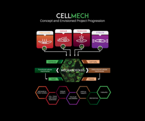Scientific project description | Illustration-Design von JK18