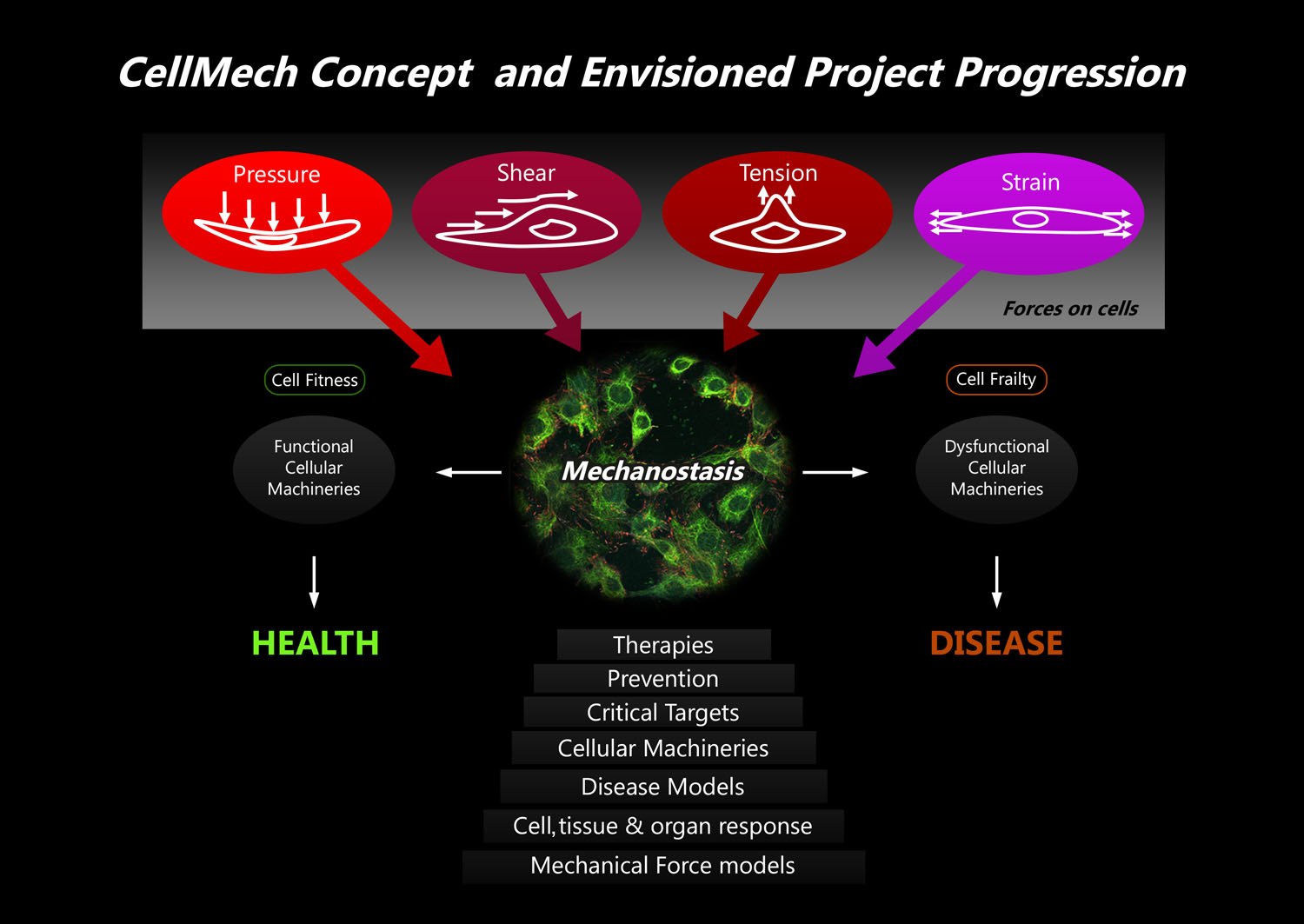 Illustration Design by BJY for Turku Centre for Biotechnology | Design #20103602