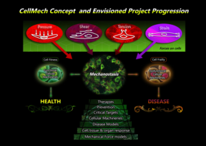 Illustration Design by BJY for Turku Centre for Biotechnology | Design #20109601