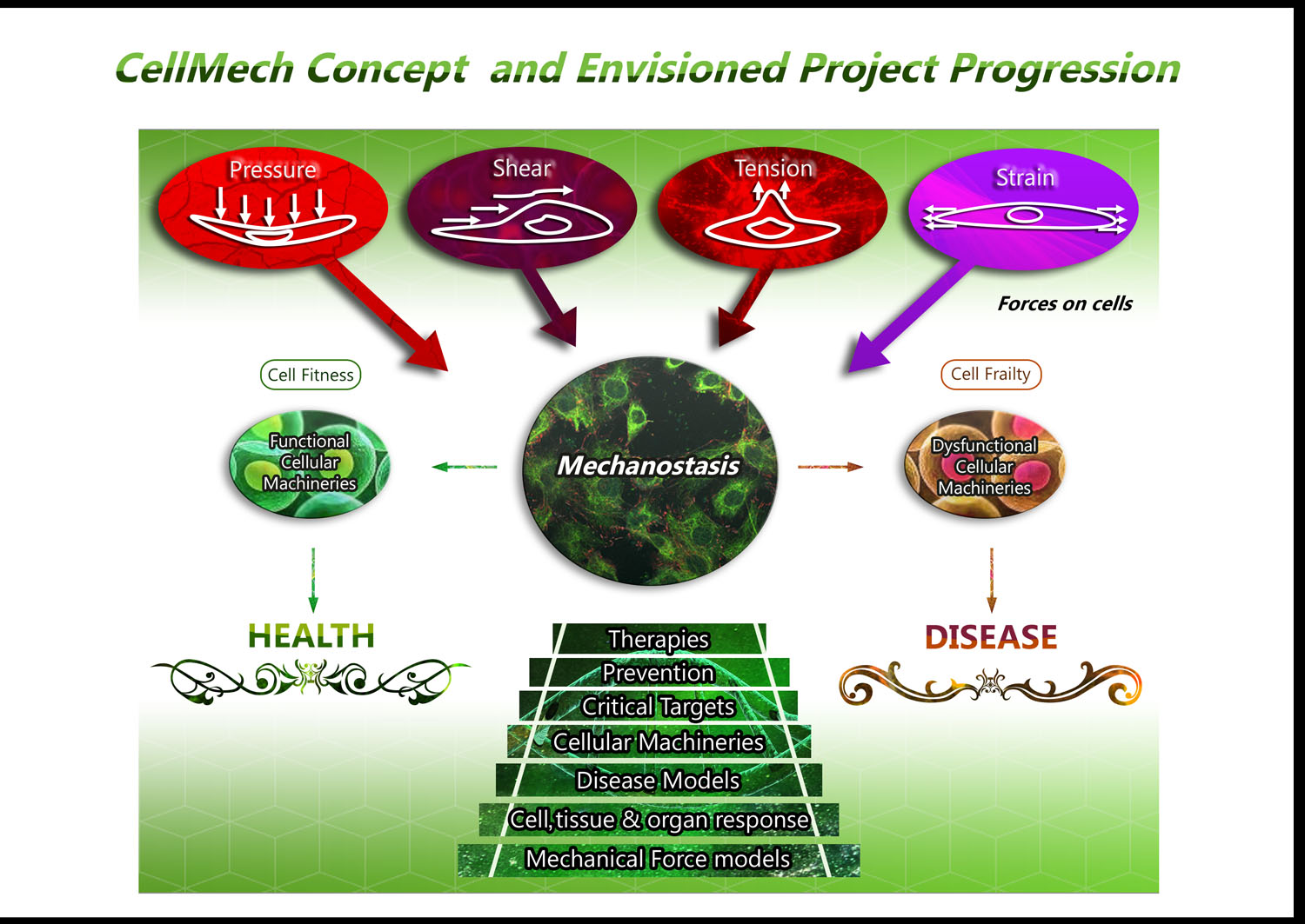 Illustration Design by BJY for Turku Centre for Biotechnology | Design #20109695