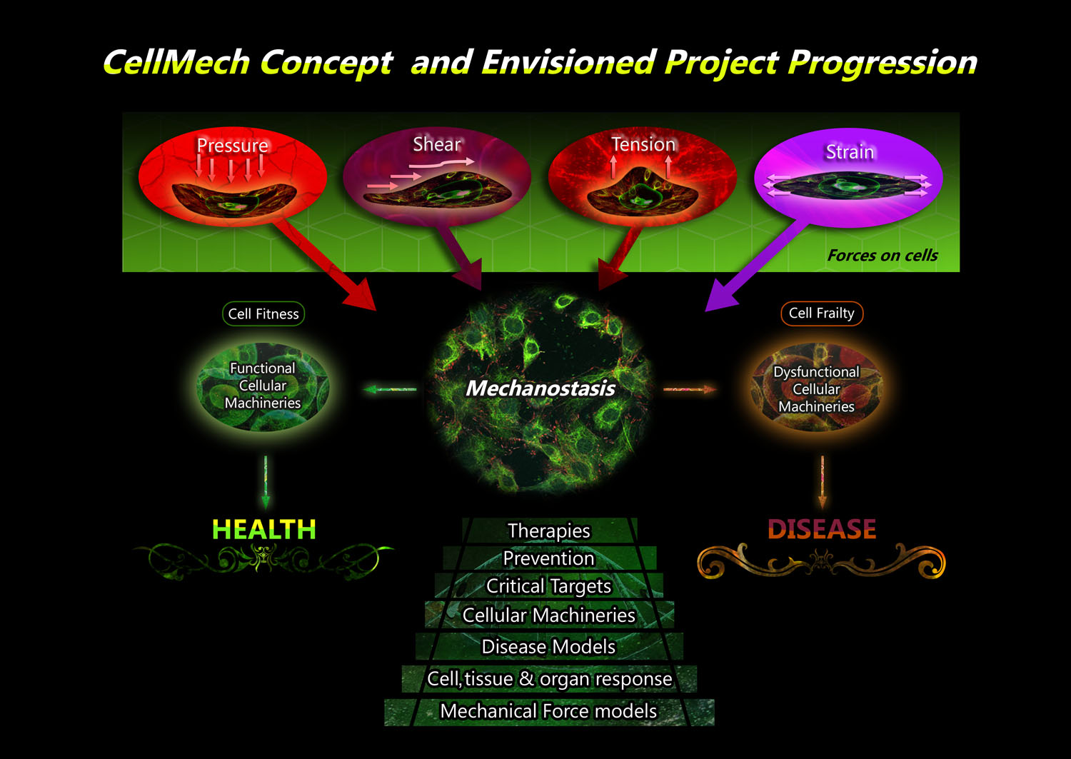 Illustration Design by BJY for Turku Centre for Biotechnology | Design #20128618
