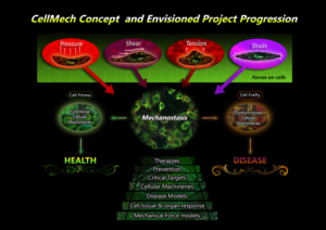 Scientific project description | Illustration-Design von BJY