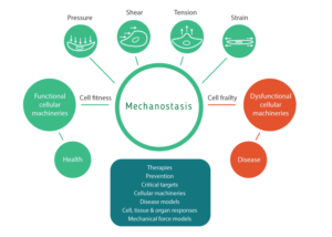 Illustration Design by Pudja Pratama Sakti for Turku Centre for Biotechnology | Design: #20102268