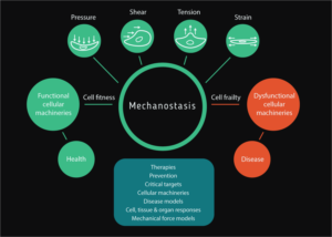 Illustration Design by Pudja Pratama Sakti for Turku Centre for Biotechnology | Design: #20102270
