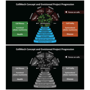 Scientific project description | Illustration-Design von Annie Creative Service