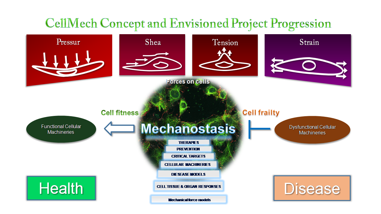Diseño Con Ilustración por Mobile Design para Turku Centre for Biotechnology | Diseño #20110211