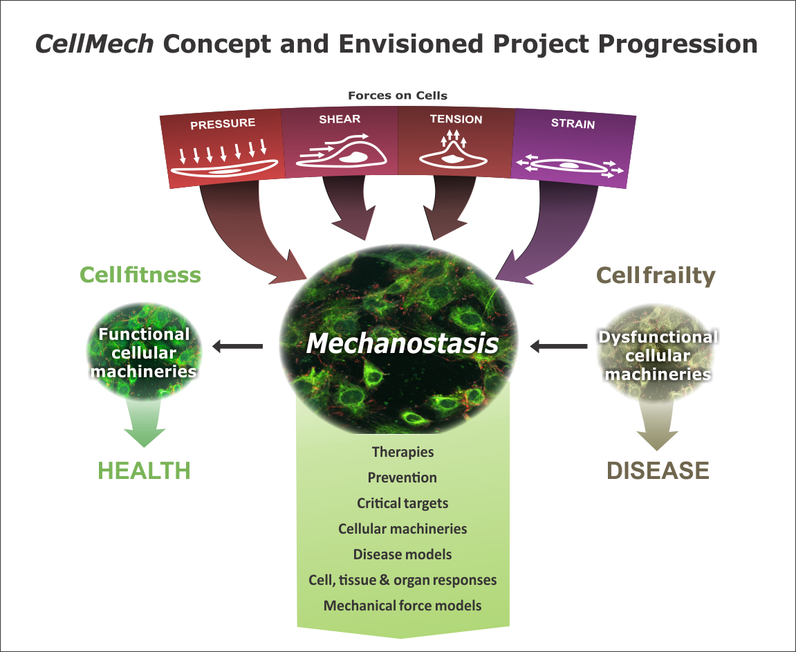 Diseño Con Ilustración por andlr para Turku Centre for Biotechnology | Diseño #20106511