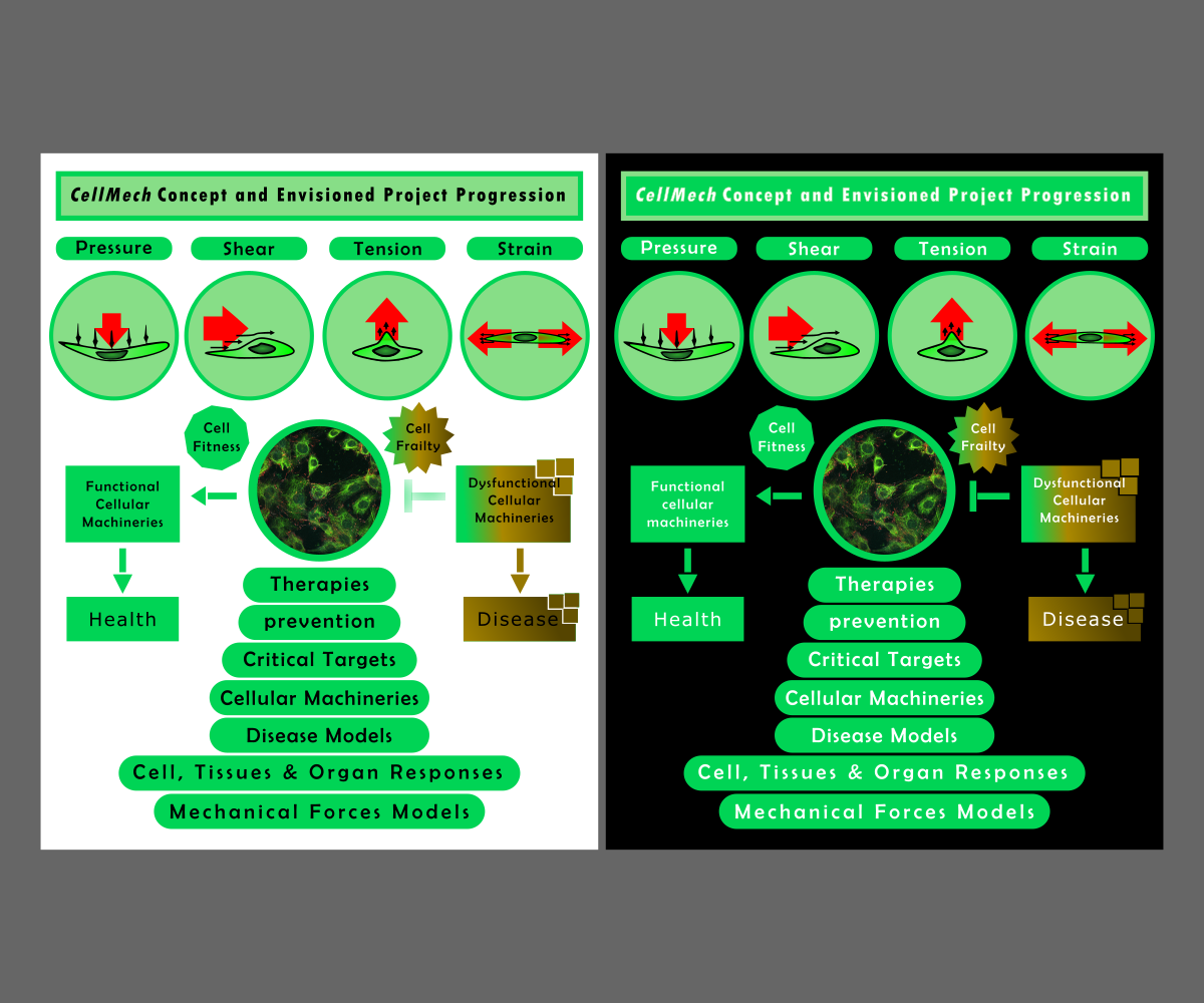 Diseño Con Ilustración por symbolman para Turku Centre for Biotechnology | Diseño #20107419