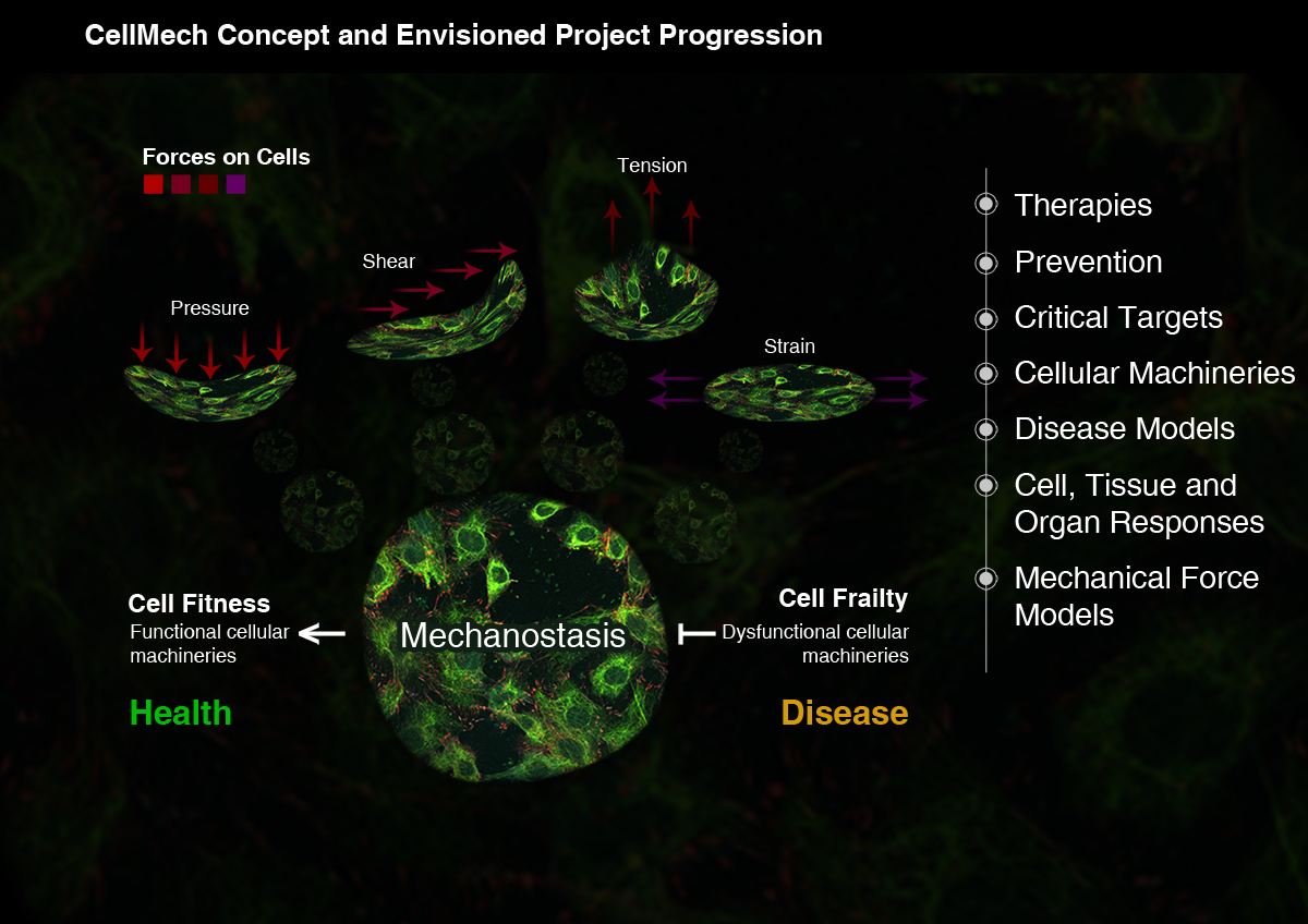 Illustration Design by Clive T Muchemwa for Turku Centre for Biotechnology | Design #20140956