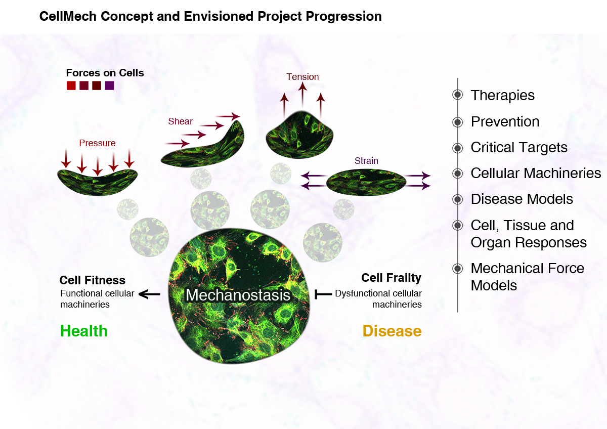 Diseño Con Ilustración por Clive T Muchemwa para Turku Centre for Biotechnology | Diseño #20140957