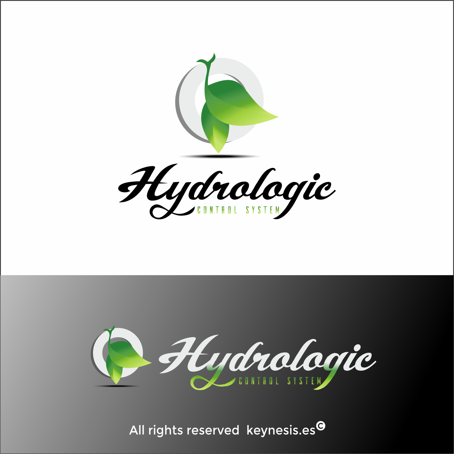 Design de Logo par keynesis pour iHost Networks | Design #13847713